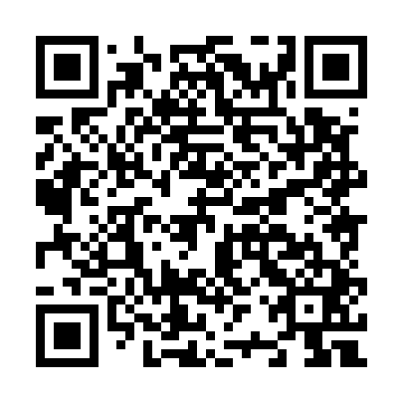 QR code for N2X 541