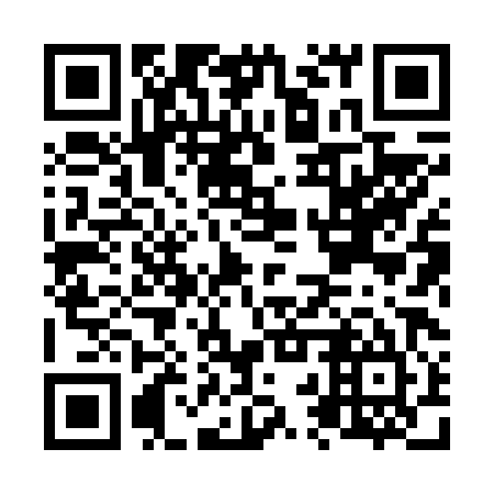 QR code for N2X 685