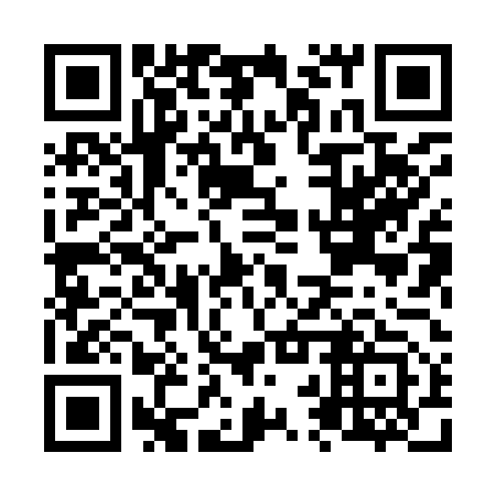 QR code for N2X 953