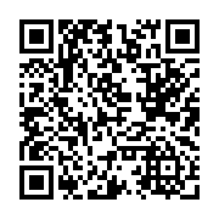 QR code for plate N2X 195