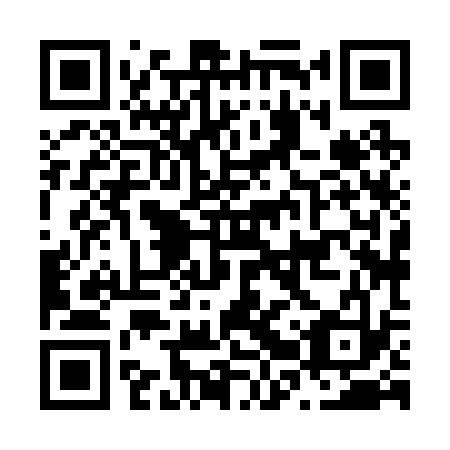 QR code for plate N2X 233