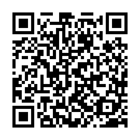 QR code for N2X249