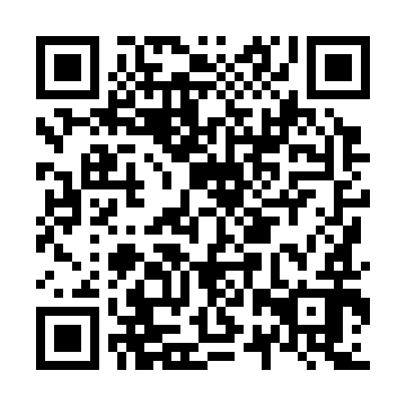 QR code for plate N2X 392
