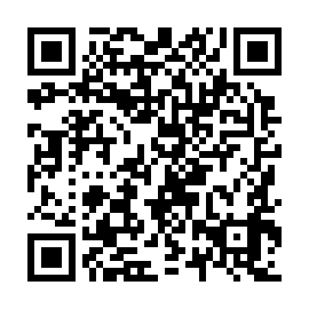 QR code for plate N2X 399