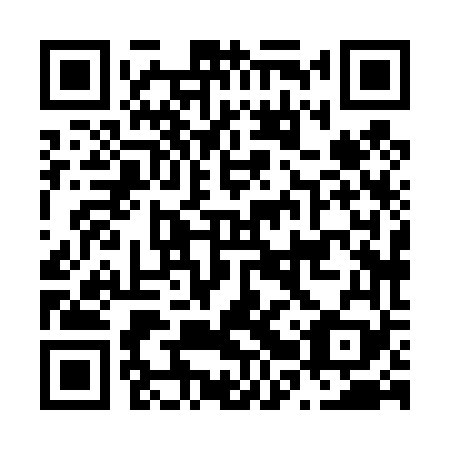 QR code for plate N2X 469