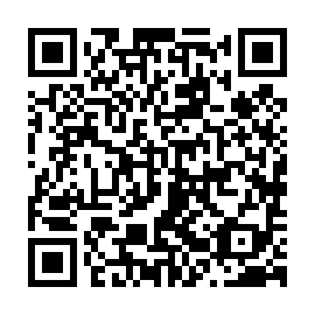 QR code for plate N2X 499
