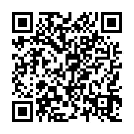 QR code for N2X513