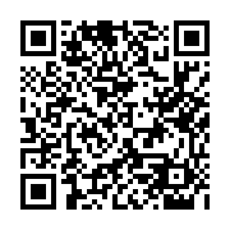 QR code for N2X560