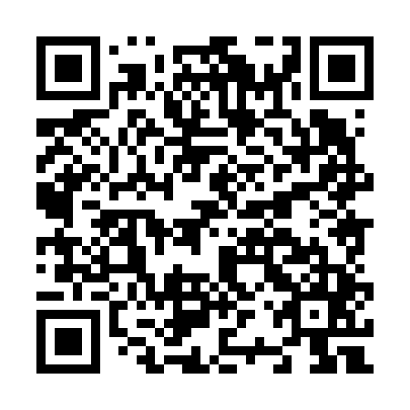QR code for plate N2X 645