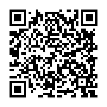 QR code for plate N2X 893