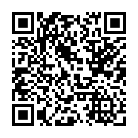 QR code for plate N2X 944