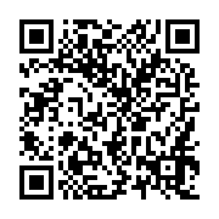 QR code for plate N2X 956