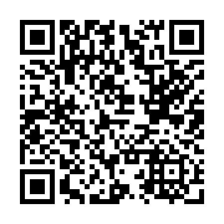 QR code for N2Y919