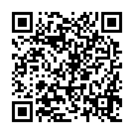 QR code for N2Z 396