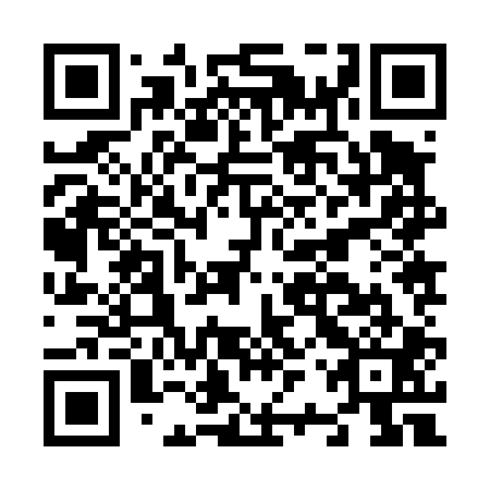 QR code for N2Z 401