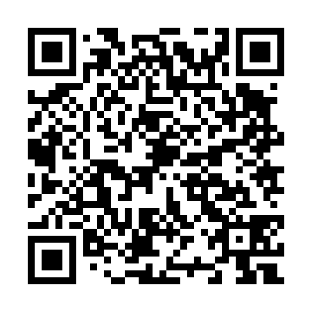 QR code for N2Z 438