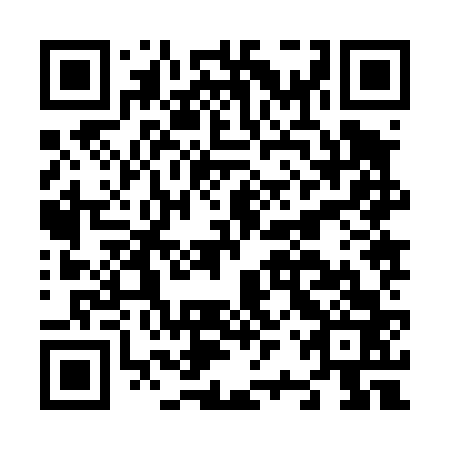 QR code for N2Z 463