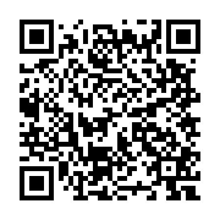 QR code for N2Z 501