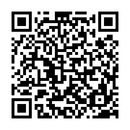 QR code for N2Z 536