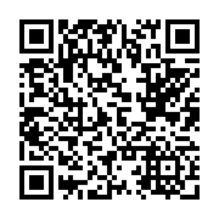 QR code for N2Z 666