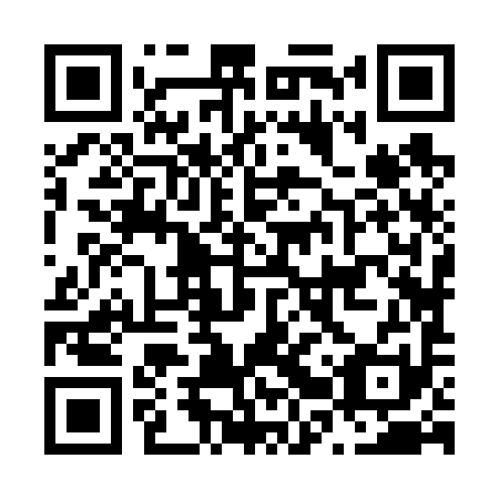 QR code for N2Z 691