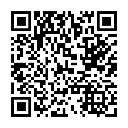 QR code for N2Z161