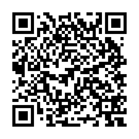 QR code for plate N2Z 218