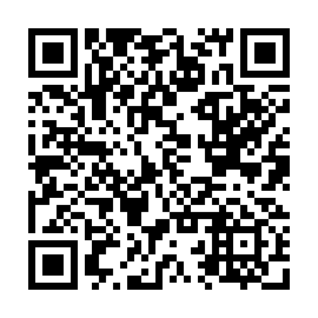 QR code for plate N2Z 339