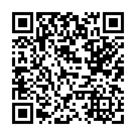 QR code for N2Z382