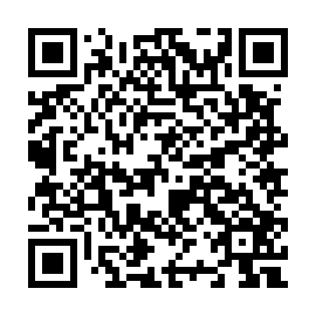 QR code for N2Z506
