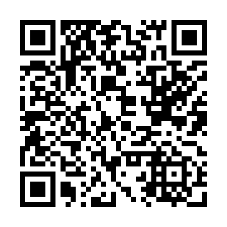 QR code for plate N2Z 959