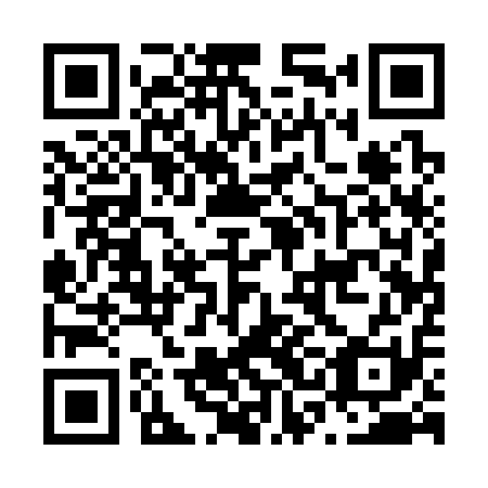 QR code for N3A 311