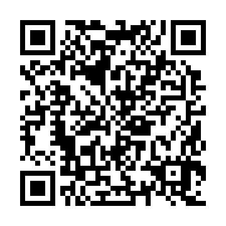 QR code for N3A 387