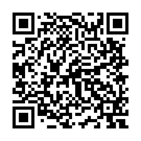 QR code for plate N3A 592