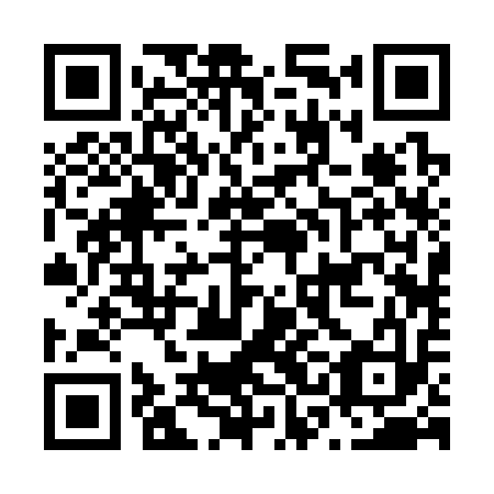 QR code for N3B 313