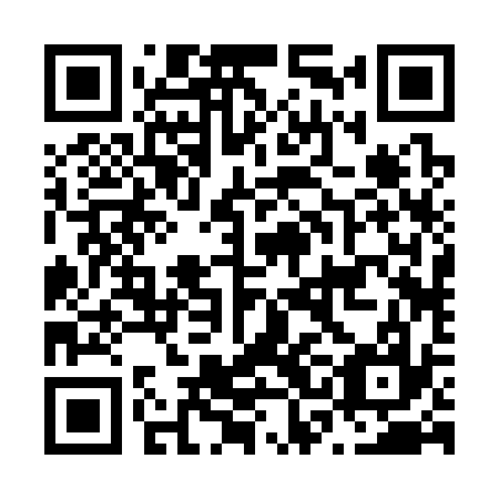 QR code for N3B 337