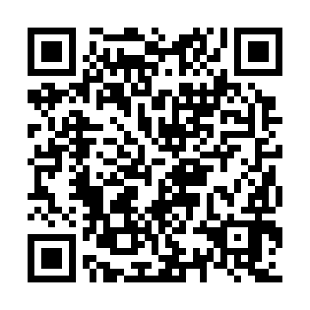 QR code for N3B 392