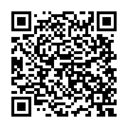 QR code for plate N3B 557