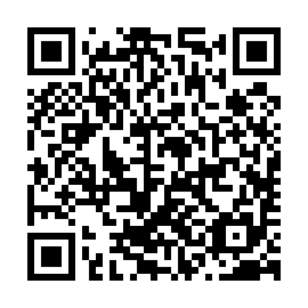 QR code for N3B595
