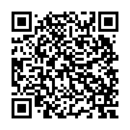 QR code for plate N3B 687