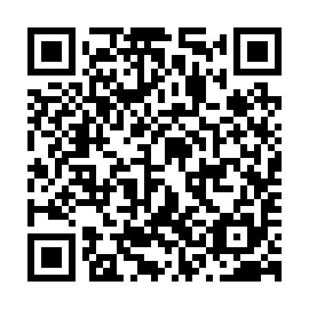 QR code for N3C 295