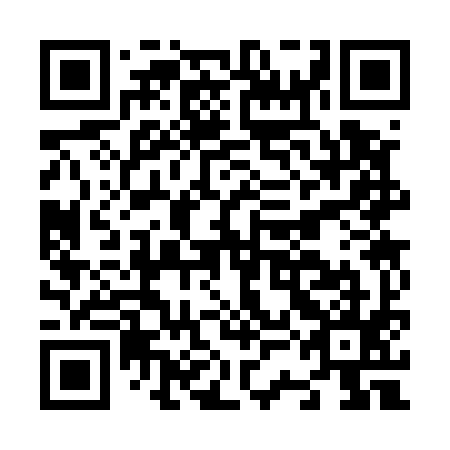 QR code for N3C 595