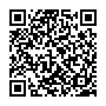 QR code for N3C333