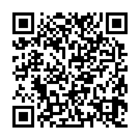 QR code for N3C389
