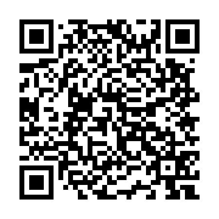 QR code for plate N3E 575