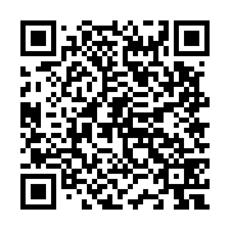 QR code for plate N3E 579