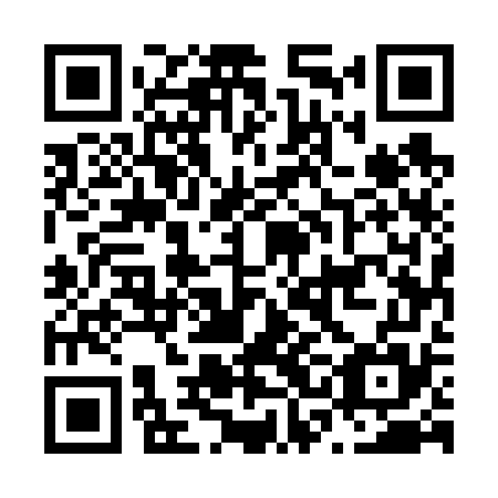 QR code for plate N3E 675