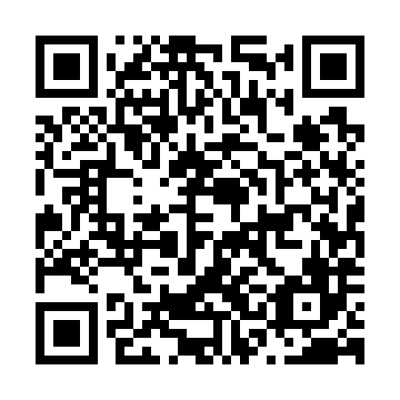 QR code for plate N3E 786