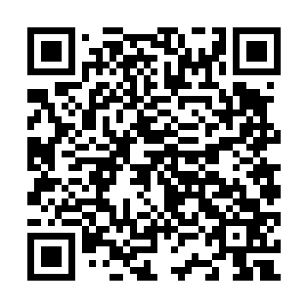 QR code for N3F 463