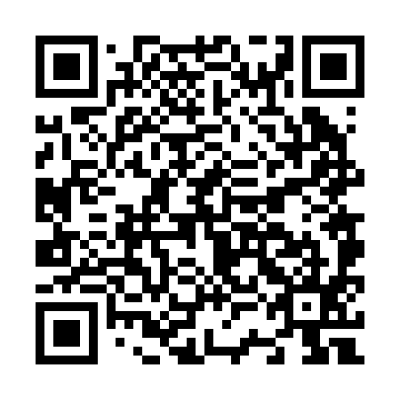 QR code for N3F295